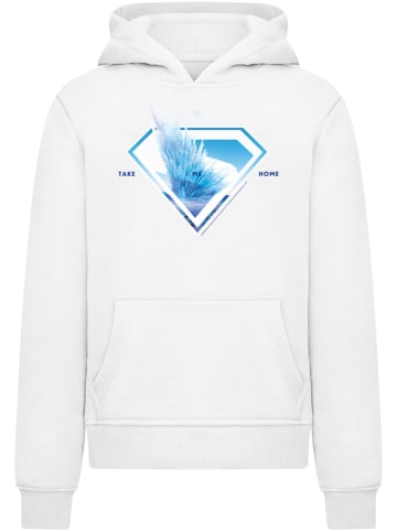 Absolute Cult Absolute Cult Kapuzenpullover in white