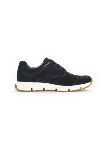 Pius Gabor Sneaker low in blau