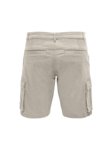 Only&Sons Short in Silver Lining