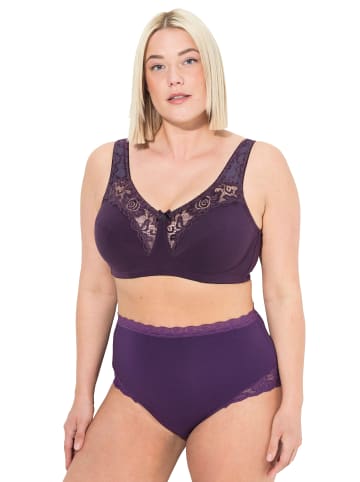 Ulla Popken Entlastungs-BH in aubergine