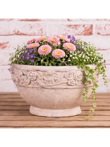 AltoBelli Blumentopf ROSARIO Schale Beige mit Rosen Rund Zement 27x16 cm