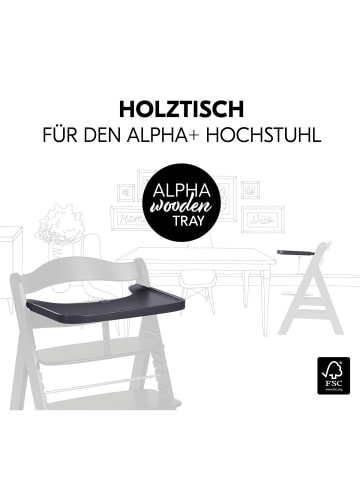 Hauck Alpha Plus Dark Grey Newborn Set in gray