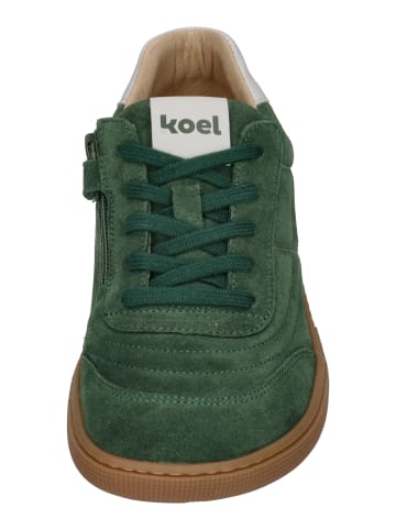 KOEL Sneaker Low DUSTIN SUEDE  in braun