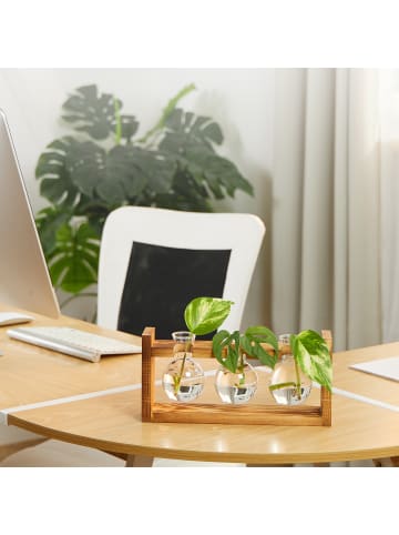 relaxdays Reagenzglas Vase "Rund" in Klar/ Natur