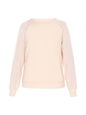 Usha Women Sweatshirt in Beige Grey