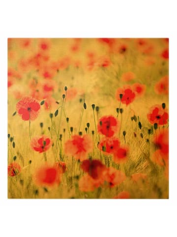 WALLART Leinwandbild Gold - Summer Poppies in Grün