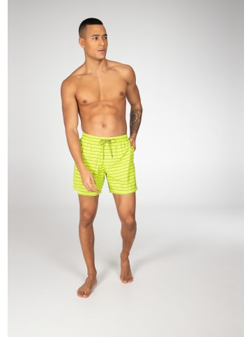 Protest " SHARIF in Lime Up