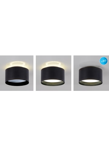 näve LED Spot "Trios" Ø 14 cm in Schwarz