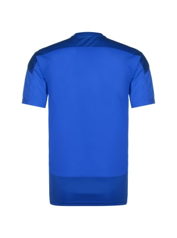 Puma Trainingsshirt teamGoal 23 in blau / dunkelblau