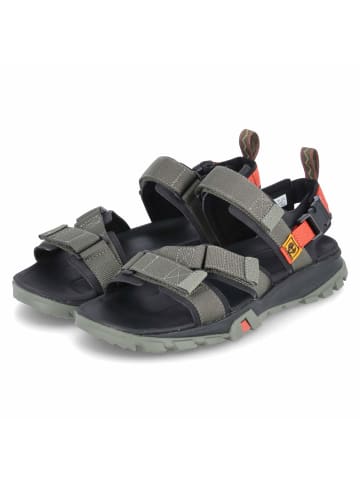 Timberland Sandalette in grün