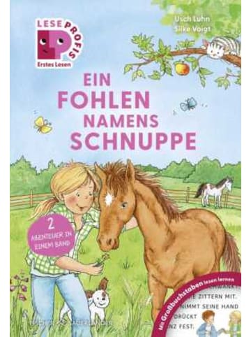 FISCHER Sauerländer Buch - Leseprofis - GROSSBUCHSTABEN: EIN FOHLEN NAMENS SCHNUPPE, 1. Klasse