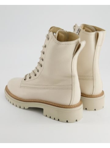 Paul Green Schnürstiefeletten in Beige