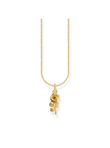 Thomas Sabo Kette in gold