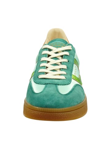 Gant Sneaker Low in Grün