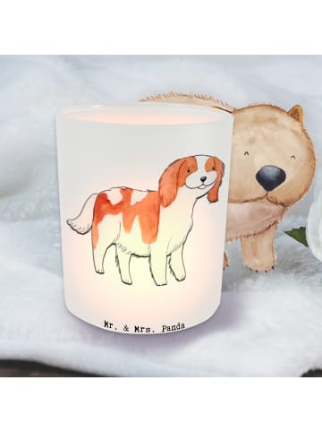 Mr. & Mrs. Panda Glas Teelichthalter Cavalier King Charles Spani... in Transparent