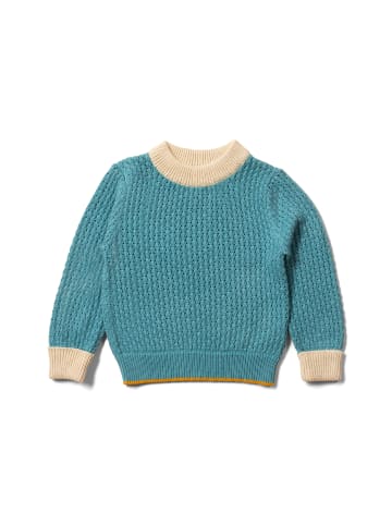 Little Green Radicals Von einem zum anderen gestrickter Pullover in Blau