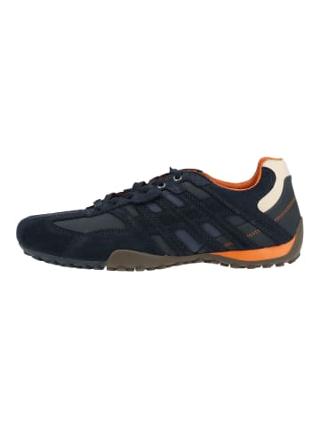 Geox Sneaker SNAKE K in Navy
