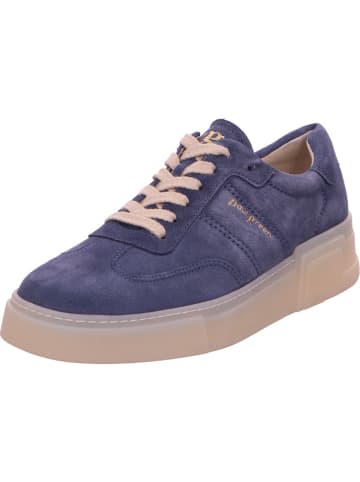Paul Green Sneaker in blau