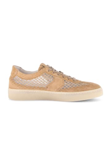 Gabor Sneaker low in braun