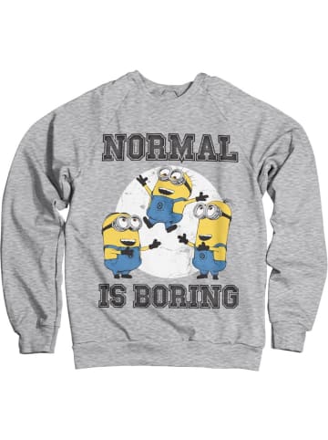 Minions Pullover in Grau