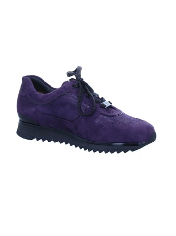 HASSIA Schnürschuhe Porto in plum/schwarz