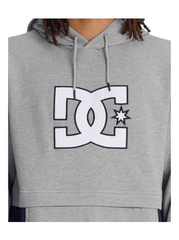 DC Shoes Sweatshirt in Grau