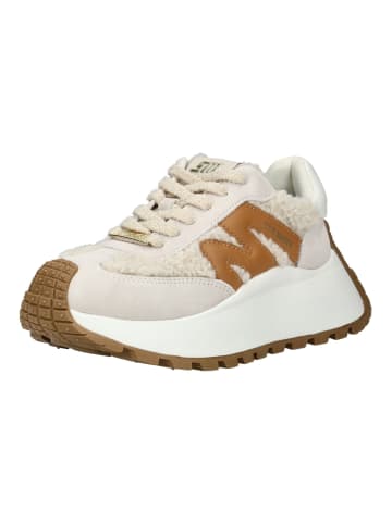 Steve Madden Sneaker in Bone