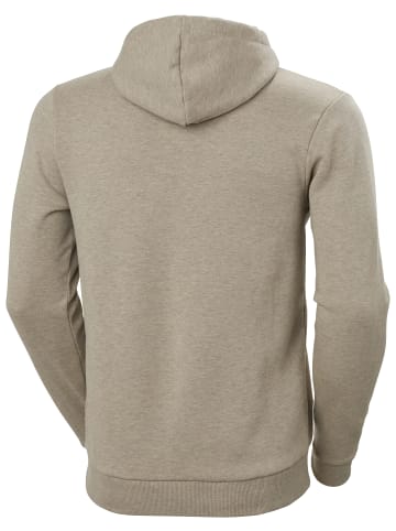 Helly Hansen Hoodie Graphic in beige in beige
