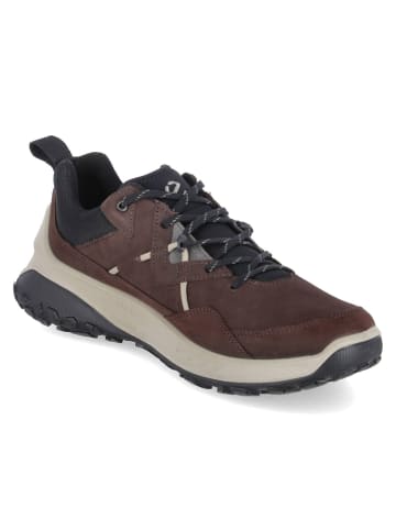 Ecco Sneaker Ult-Trn M in mocha/mocha