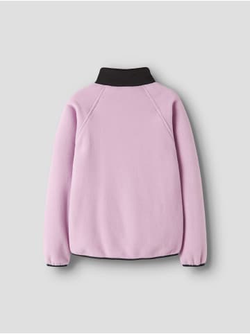 name it Jacke in Phalaenopsis1
