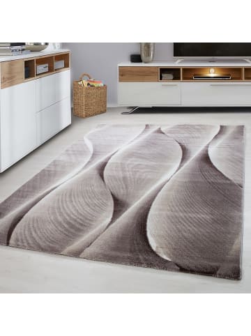 Teppich Boss Kurzflor Teppich Paolo Braun