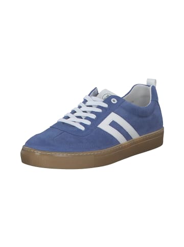 palado Sneakers Low in blue cobalto/white