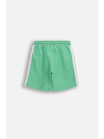 Coccodrillo Kurze Baumwollshorts in grün