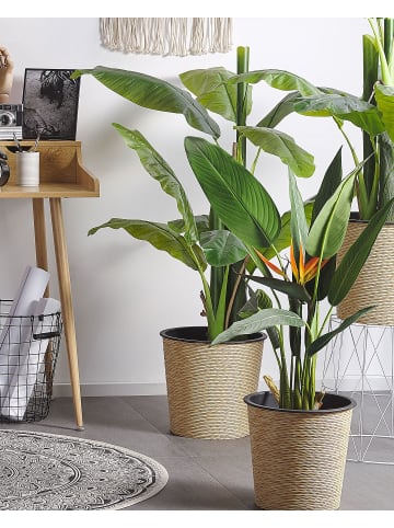Beliani Kunstpflanze STRELITZIA TREE in Grün/Schwarz/Orange