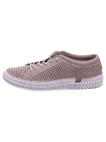 Esgano Damenschnürrschuhe halb sportlicher Boden Da.-Sneaker in  Beige