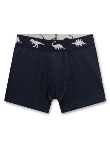 Sanetta Boxershorts in Blau