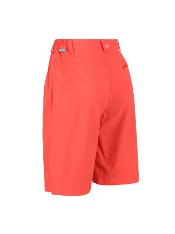 Regatta Outdoorshorts Xert It in Neon Peach