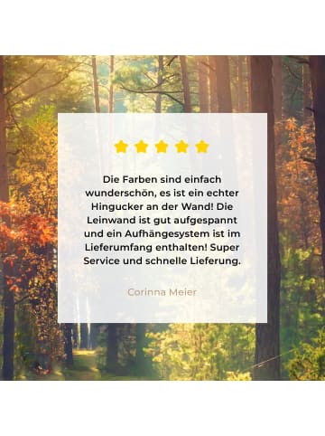 MuchoWow Leinwand bilder Waldpfad (BxH)