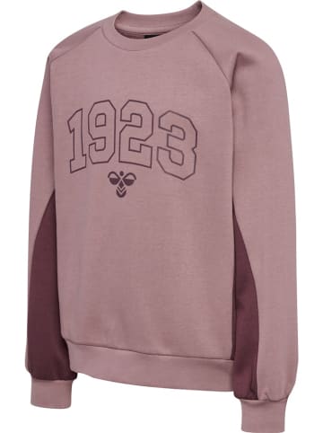 Hummel Hoodie "Hmlkanna Sweatshirt" in Lila