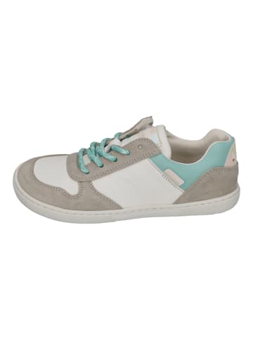 KOEL Sneaker Low DATE SUEDE in bunt