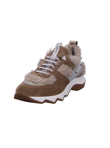 Donna Carolina Schnürschuh in beige