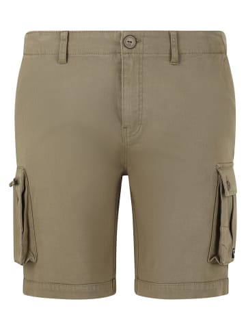 Cruz Shorts Monsoon in 3011 Deep Lichen Green