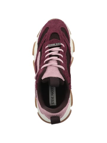 Steve Madden Sneaker low Possession-E in bordeaux