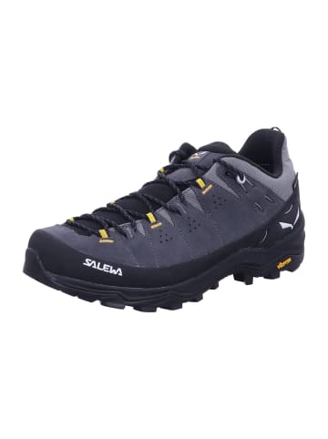Salewa Wanderschuhe ALP TRAINER 2 in Grau