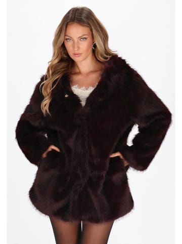 faina Women Coat in burgundy