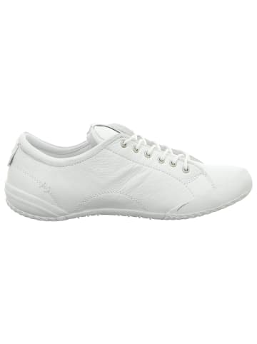 Andrea Conti Schnürschuhe in weiß