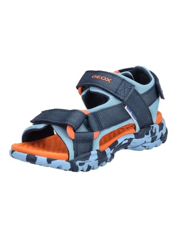 Geox Sandalen in Navy