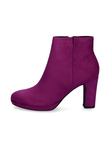 Tamaris Stiefelette in lila