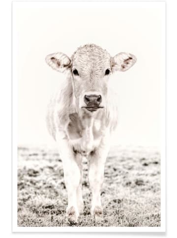 Juniqe Poster "Blonde Cattle Maverick" in Cremeweiß