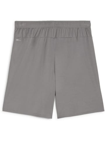 Puma Sporthose "TeamGoal Shorts" in Grau